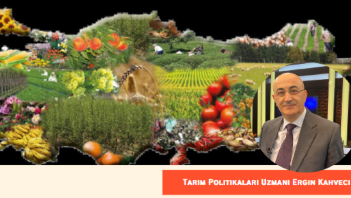 Ata Tohumlarımız Çalınıyor! Gıda Güvenliğimiz Tehlikede