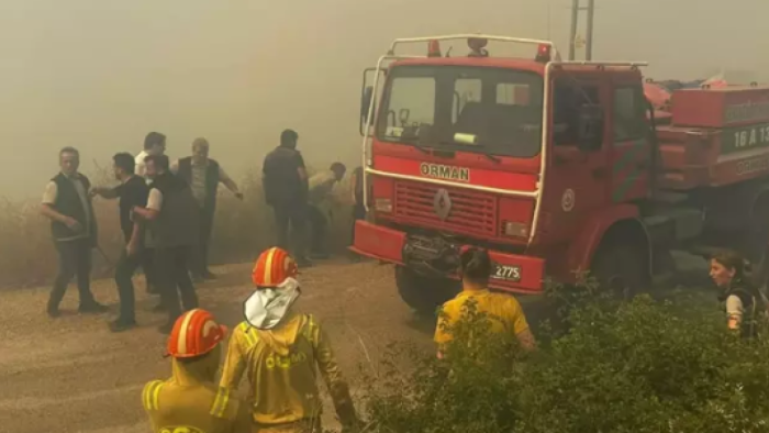 Bursa ve Balıkesir'de Orman Yangınları: Girencik Mahallesi Tahliye Edildi, Havadan ve Karadan Müdahale Sürüyor