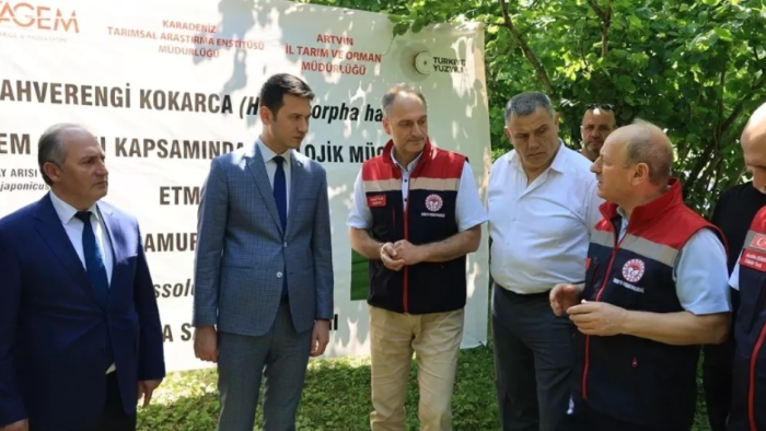 Artvin'de Tarıma Dost Bir Hamle: 15 Bin Samuray Arısı Doğaya Salındı