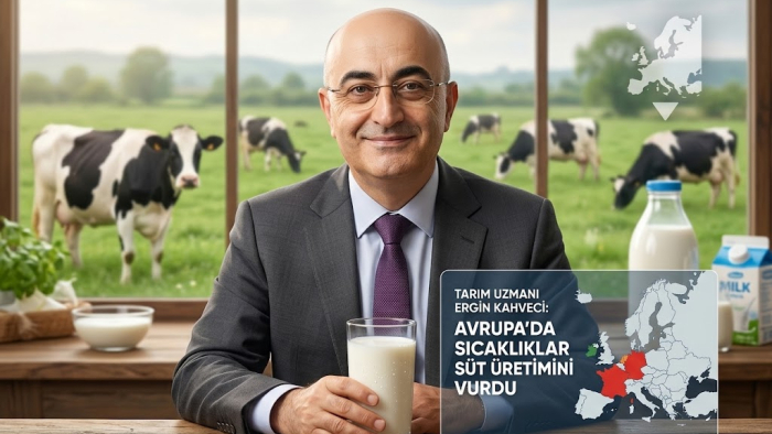 TARIM UZMANI ERGİN KAHVECİ: AVRUPA' AŞIRI SICAKLAR SÜT ÜRETİM TAHMİNLERİNİ ALT ÜST ETTİ