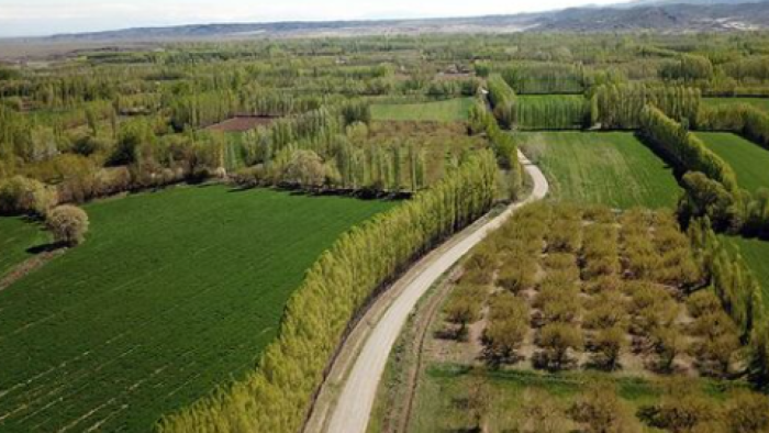 2B Arazileri Düzenlemesi Yolda: 5 Milyon Kişiye Tapu Hakkı Geliyor