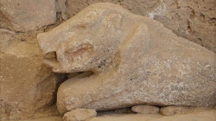 Göbeklitepe'de 13 Bin Yıllık Boyalı Yaban Domuzu Heykeli Bulundu!