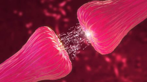 Parkinson’da Üç Cepheden Umut: İlaç, Hücre ve Gerçekler