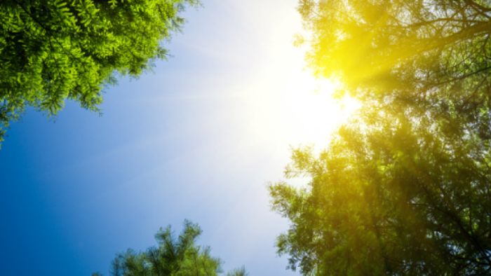 Bayram Tatilinde Sıcaklıklar Artacak: Kurban Bayramı'nda Türkiye'yi Bekleyen Hava Durumu