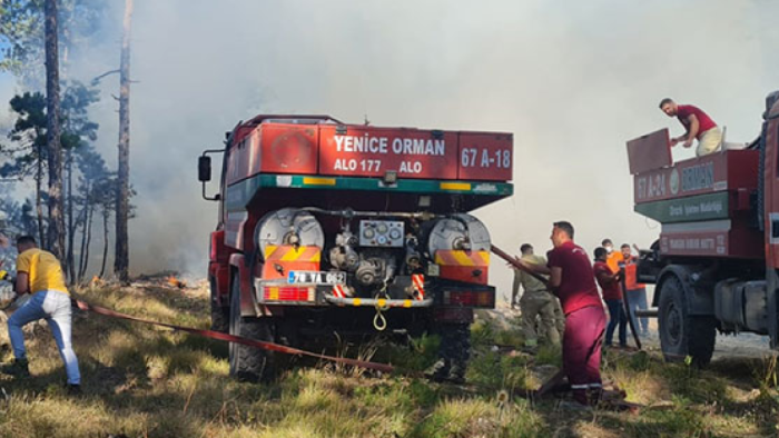 Alevlere Karşı Büyük Mücadele: Türkiye Orman Yangınlarıyla Savaş Halinde