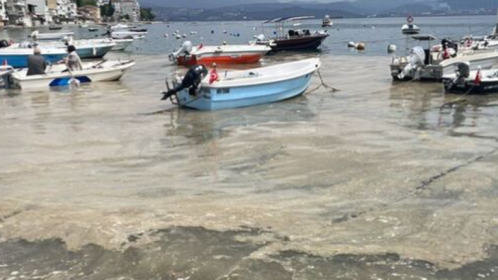 Bursa Kıyılarında Müsilaj Alarmı!