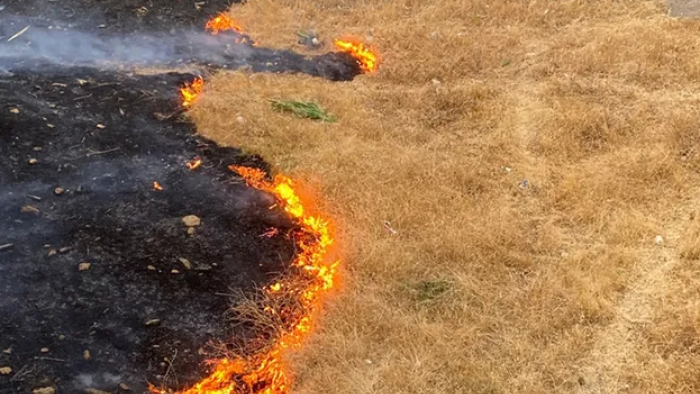 Batman'da Anız Yakanlara Para Cezası ve Tarımsal Destekten Men!